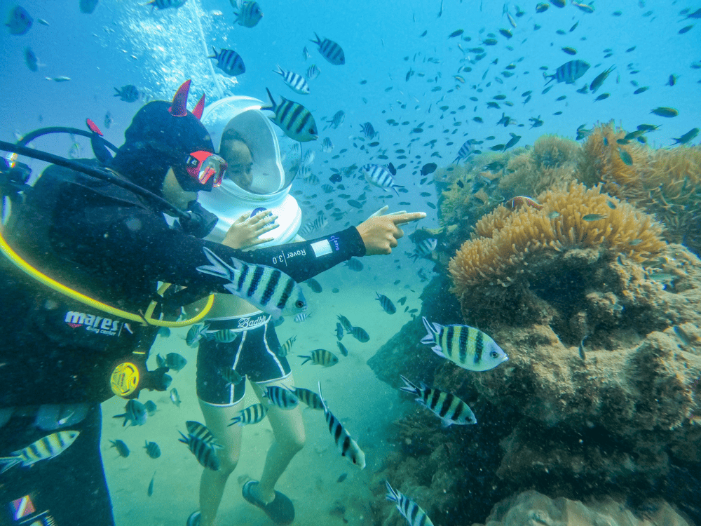A small private group enjoys a private sea walking experience with dedicated guides and flexible schedules (Source: Namaste Phú Quốc)
